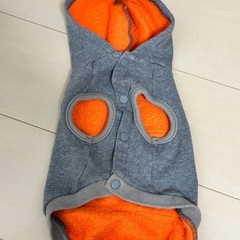 犬服 中型犬ドッグウェア　ペット服4点セットの画像