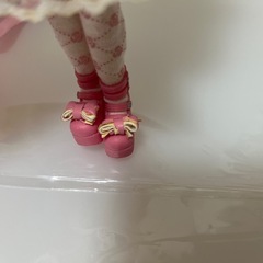 グレイシーシャンティリー　ブライス　難ありの画像