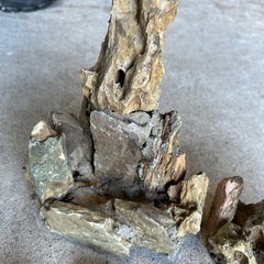 水槽用の石　観賞用の画像