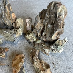水槽用の石　観賞用の画像