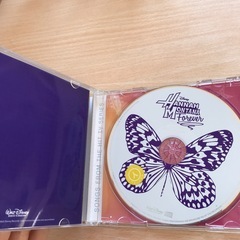 綺麗め❤︎ハンナモンタナ　CD  マイリーサイラスの画像