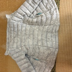 パタゴニア　ダウンジャケットの画像