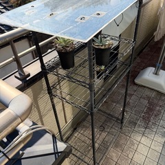 植物　ラック　棚の画像