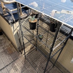 植物　ラック　棚の画像