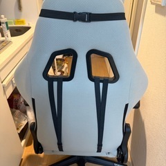 【本日限定】3000円！Dowinx ゲーミングチェア/使用9ヶ月/マッサージ機能付の画像