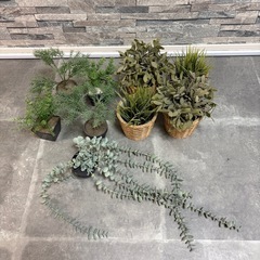 【9点まとめ売り】フェイクグリーン（人工観葉植物）お手入れ不要・お部屋の彩りに！の画像