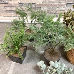 【9点まとめ売り】フェイクグリーン（人工観葉植物）お手入れ不要・お部屋の彩りに！の画像