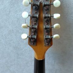 クニシマ　マンドリン　103の画像