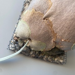 【子株付】ビカクシダ P.veitchii Auburn riverの画像