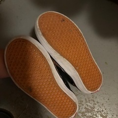 Vans　の画像