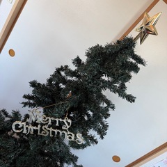 クリスマスツリーの画像