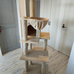 キャットタワー 猫の画像