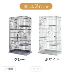 【受渡決定済】猫ケージの画像