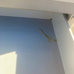 【ジモティー割引で最大15％OFF⭐️】オフィスデスク　スチールデスク　事務机　鍵付きの画像