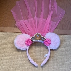 東京ディズニーランドの画像