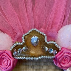 東京ディズニーランドの画像