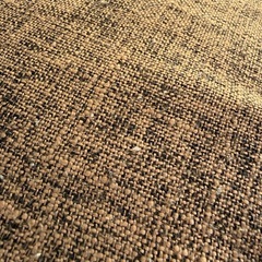 バランスボール    (カバー付)の画像