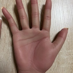 シリコンハンド両手女性骨付きの画像