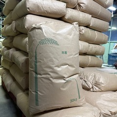 格安　新米　ひとめぼれ　5kg アウトレット米　熊谷市の画像