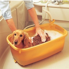 15時までの応募で時間の早い方に決定します。未開封犬のシート178枚とバスタブセットの画像