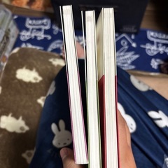 たぬきとキツネ1~3巻の画像