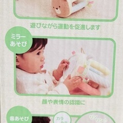 エドインター　ころりんくまさんの画像