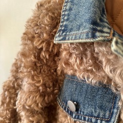 【新品】プードルみたいなファー　デニムドッキングボアジャケット プードルファーの画像