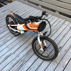 ヨツバモト　ミャウ　　16いんち16インチの画像