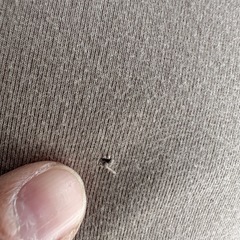 yogibo max★ヨギボーマックス★ヘタリはそんなにないです★の画像