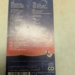 アラジン　ホール・ニュー・ワールドの画像