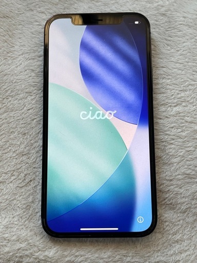 予定者決定❗️本日のみ¥34,000お買得❗️iPhone12pro  256g SIMフリー?84％　　パシフィックブルー 