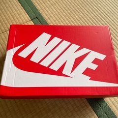 NIKE ダンク　ロー　レトロ　29センチの画像