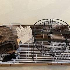 ハリネズミ飼育セットの画像