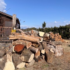 薪用原木から出た端材、余り部分の画像