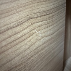 ドア付カラーボックスの画像