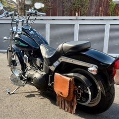 ハーレーダビッドソン　fxstb tc88の画像