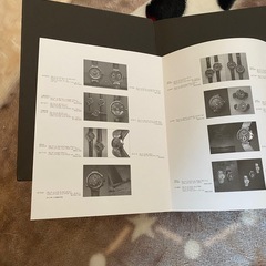 時計ｶﾀﾛｸﾞ LOUISVUITTONの画像