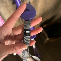 ジュニアスキー　セットの画像