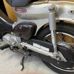 リトルカブの画像