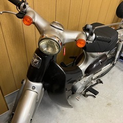 リトルカブの画像