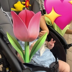 アップリカ 両対面ベビーカー カルーンエアー メッシュ A型ベビーカー　の画像