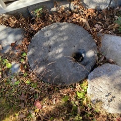 ひき臼　石臼の画像