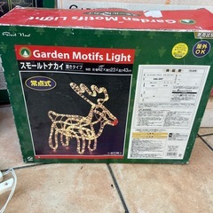 イルミネーション　　の画像