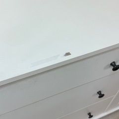 引き取りの方決まりました!の画像