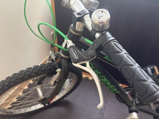 LOUIS GARNEAU 自転車　18インチくらい　ルイガノ　j206  