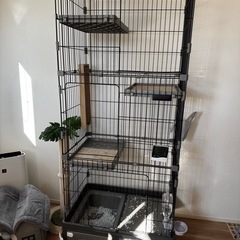 大型　キャットゲージの画像