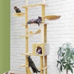 キャットツインタワーの画像