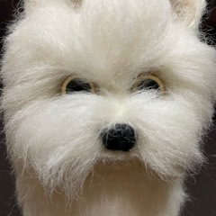羊毛フェルト　ワンちゃんの画像