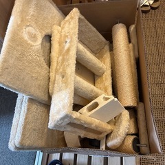 キャットツインタワーの画像