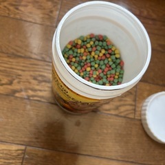 リクガメ用赤外線ライトなど3点とエサの画像